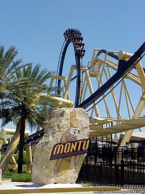 Montu Busch Gardens Tampa In Florida Theme Park Critic