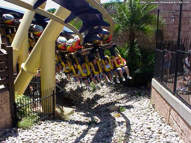 Montu Busch Gardens Tampa In Florida Theme Park Critic