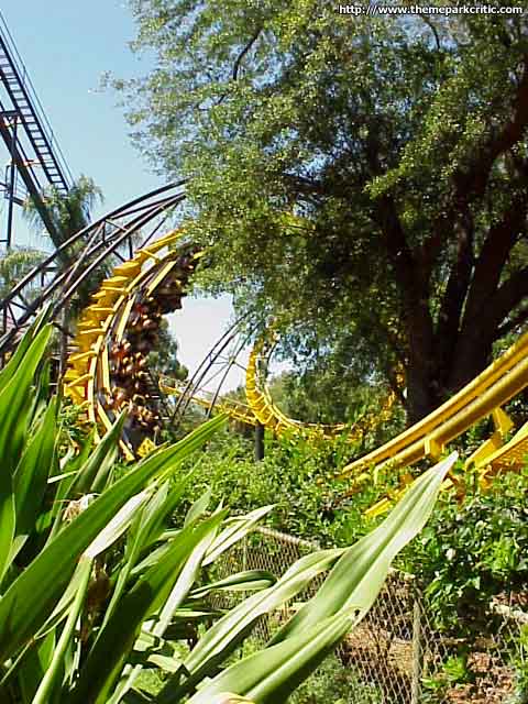 Python Busch Gardens Tampa In Florida Theme Park Critic